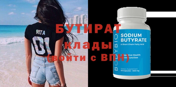 МДПВ Бородино