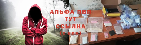 МДПВ Бородино