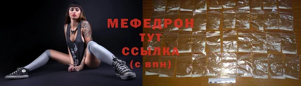 МДПВ Бородино