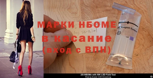 МДПВ Бородино