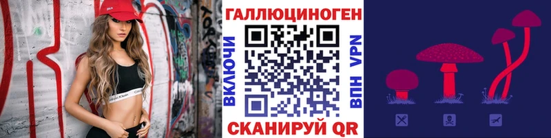 Псилоцибиновые грибы GOLDEN TEACHER  Новоржев 